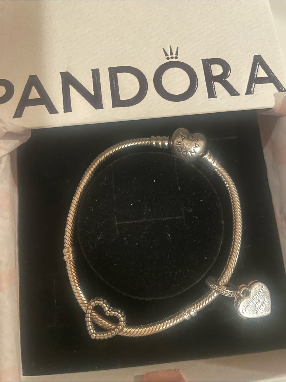 Pandora Charm Bracelet